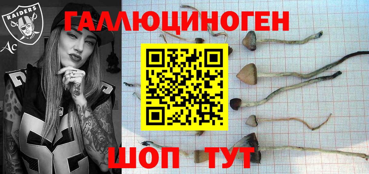 Галлюциногенные грибы GOLDEN TEACHER Бор