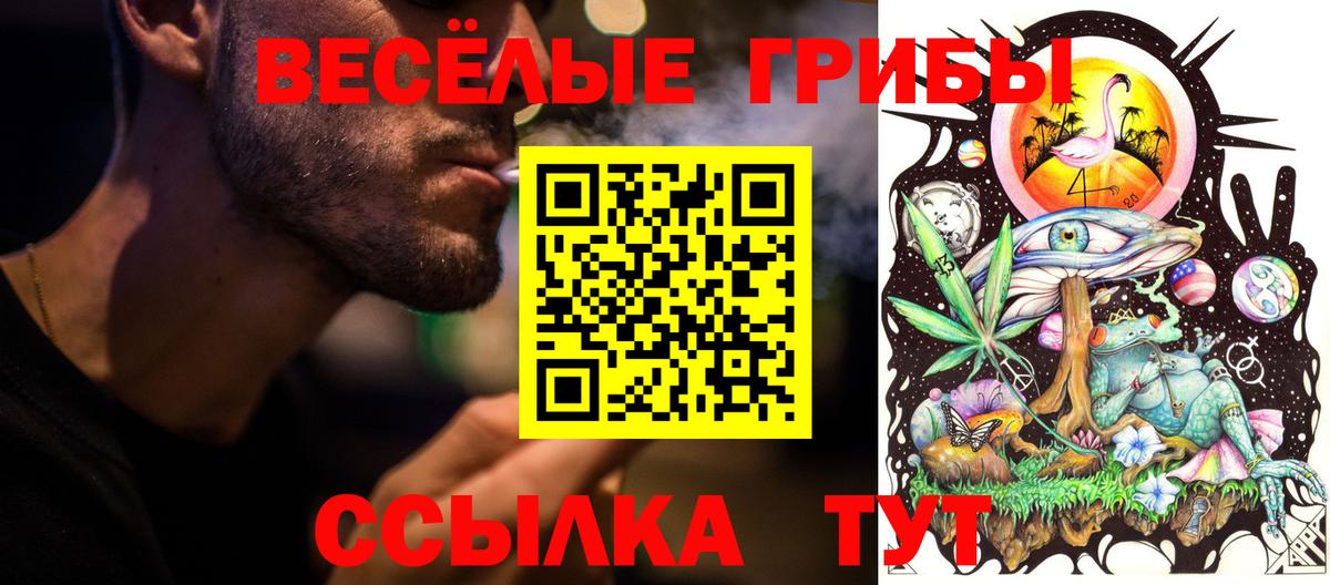 купить наркотики цена  Вход с VPN  Бор  Галлюциногенные грибы Psilocybe 